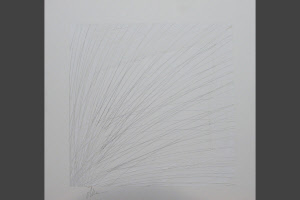 bigpic_1